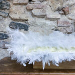 Álbum mediano. Tela. Plumas.  - Imagen 2